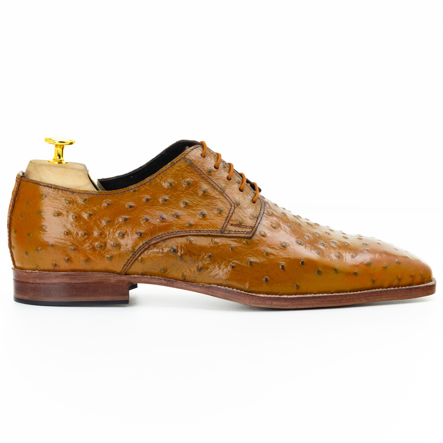 The Rainer | Ostrich Tan Derby