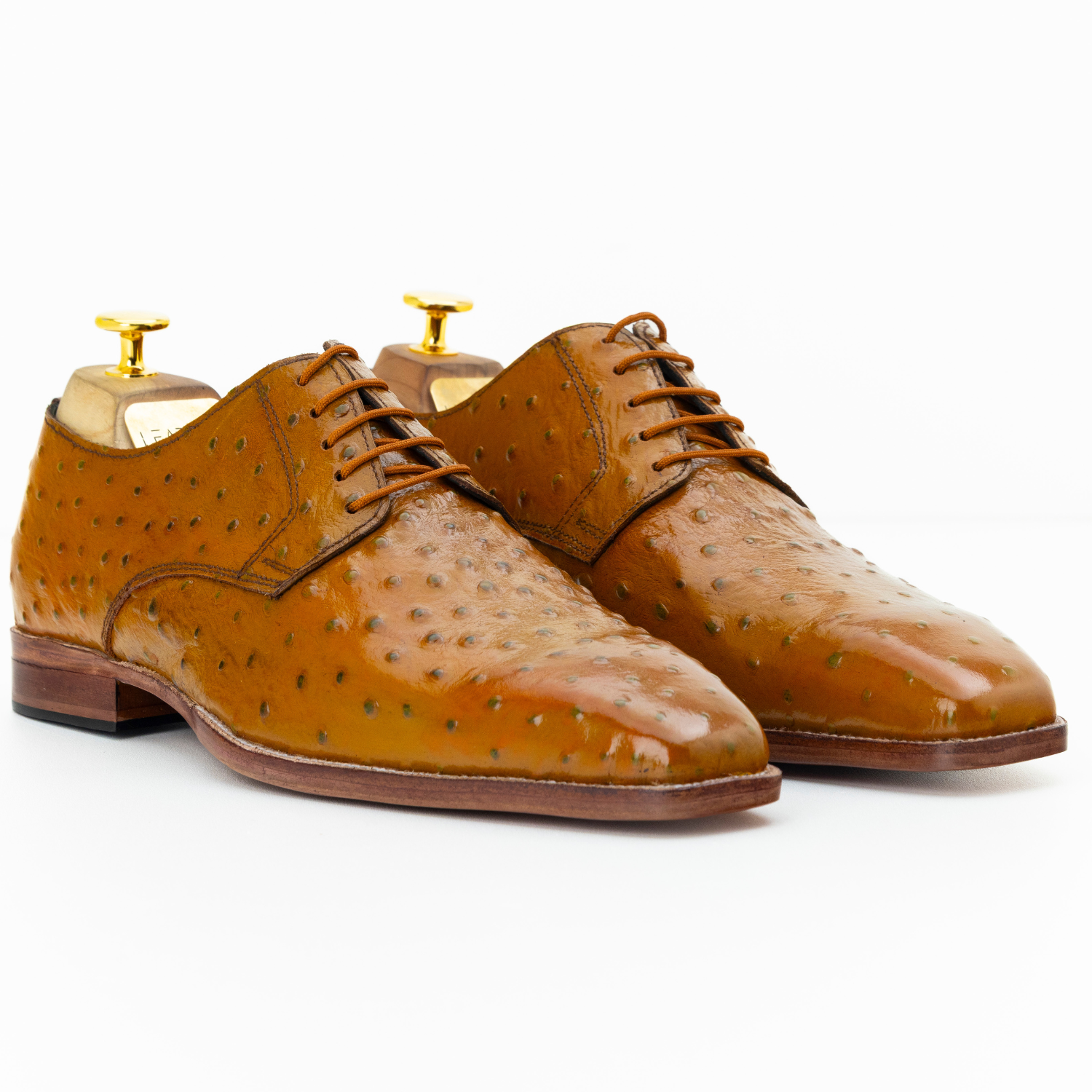 The Rainer | Ostrich Tan Derby