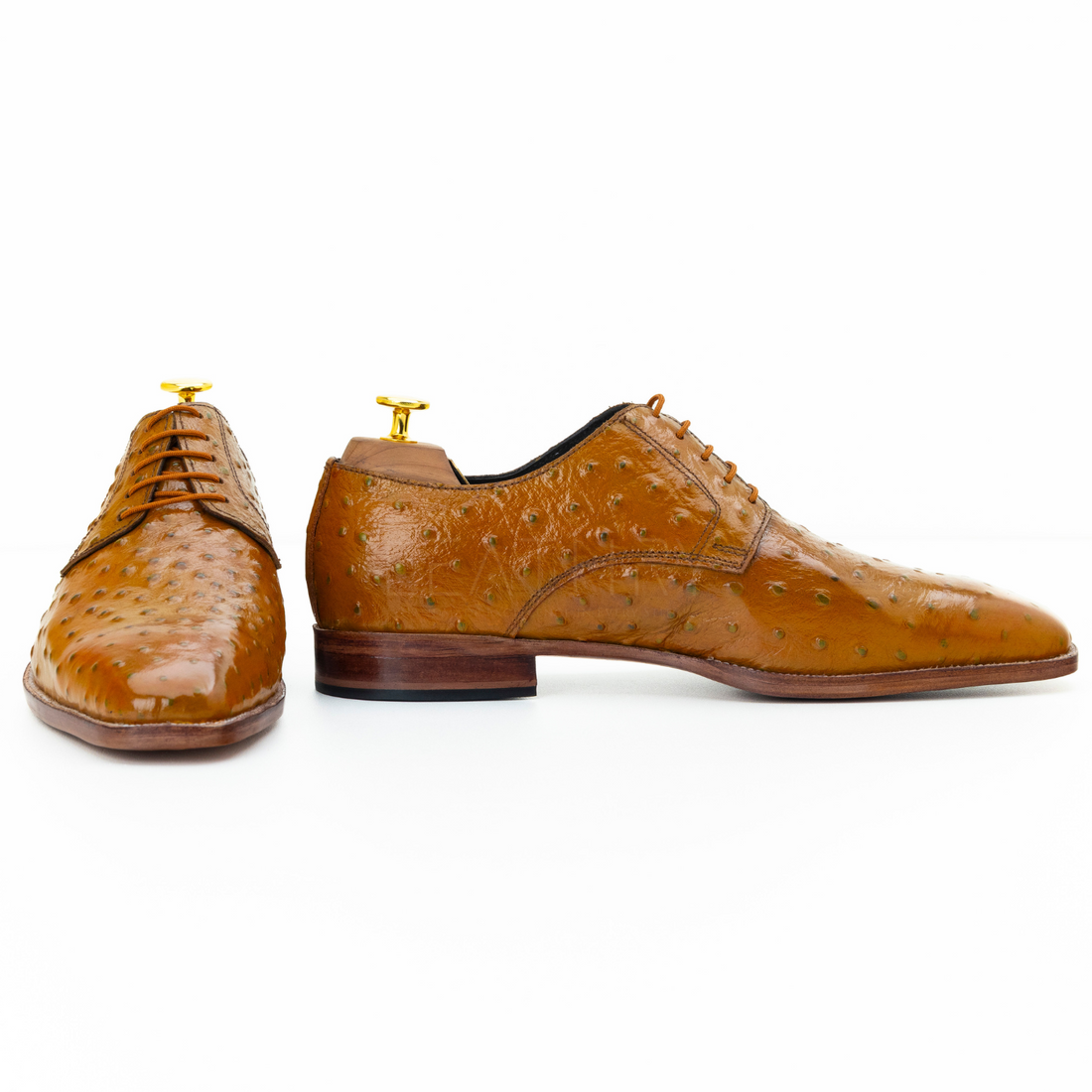 The Rainer | Ostrich Tan Derby