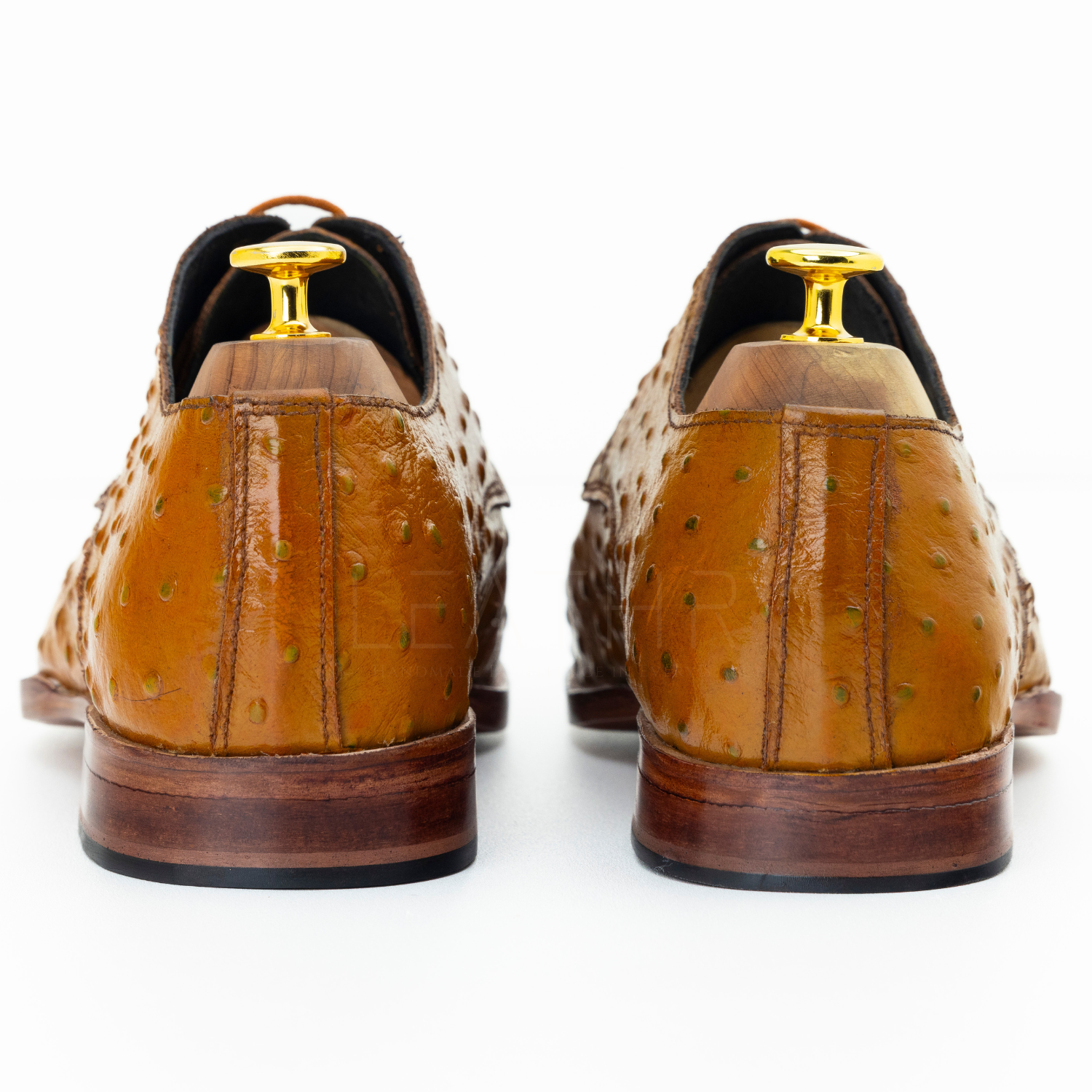 The Rainer | Ostrich Tan Derby